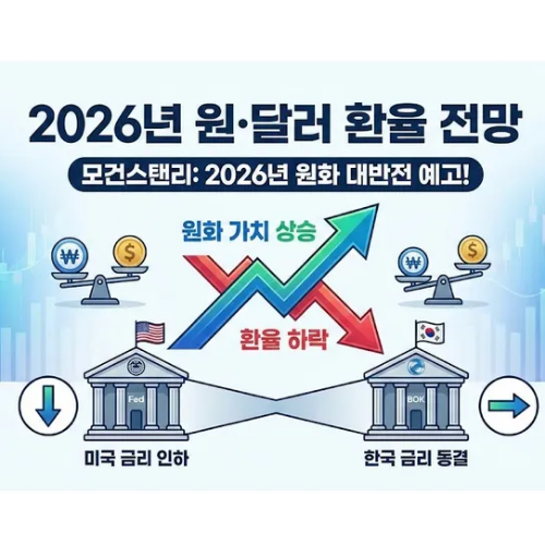 모건스탠리 환율